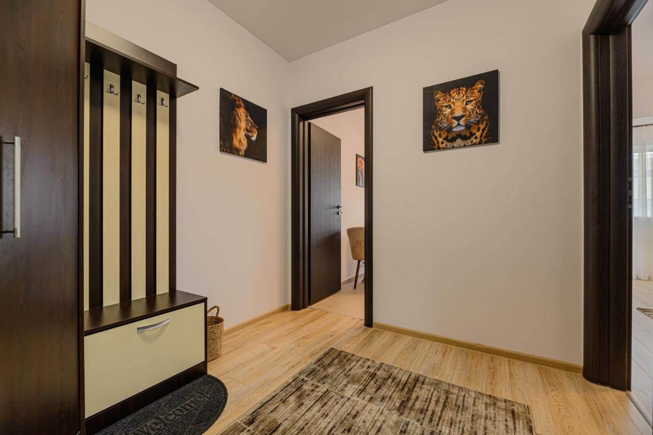 Zen Apartments Брашов Екстер'єр фото